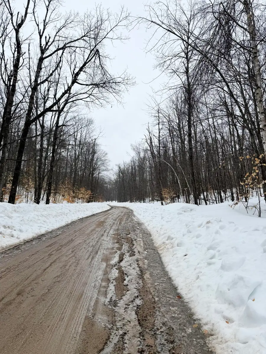 Lot 70 Birch Lane, Frederic, MI 49733 - #2