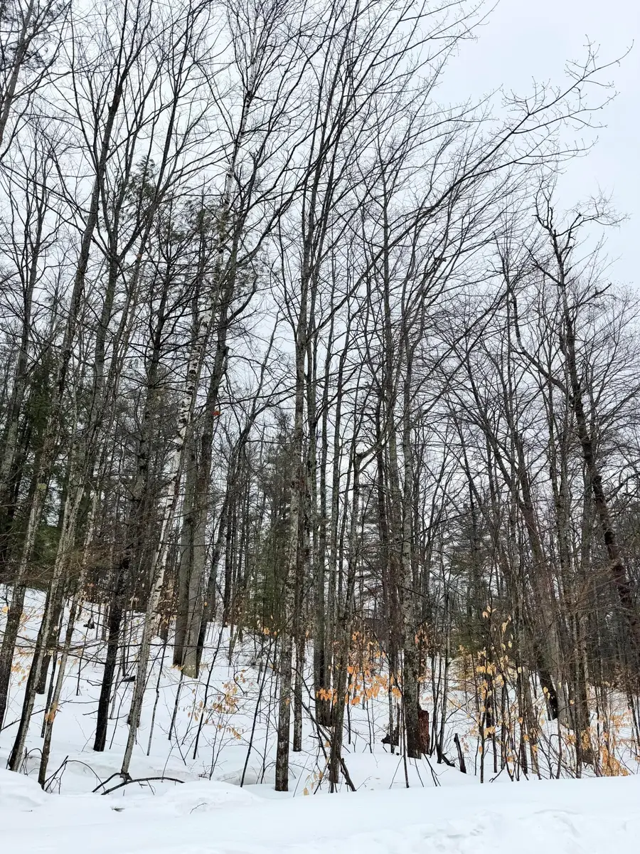 Lot 70 Birch Lane, Frederic, MI 49733 - #3