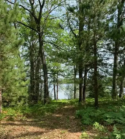 Lot 3 Mccollum Lake Road, Curran, MI 48728