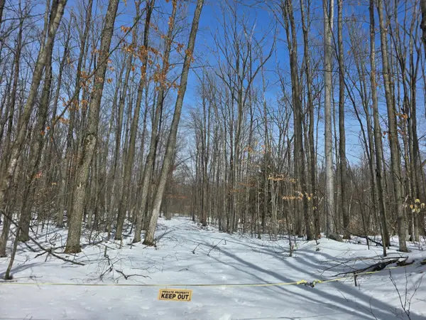 3037 N Weaver Road, Fairview, MI 48621