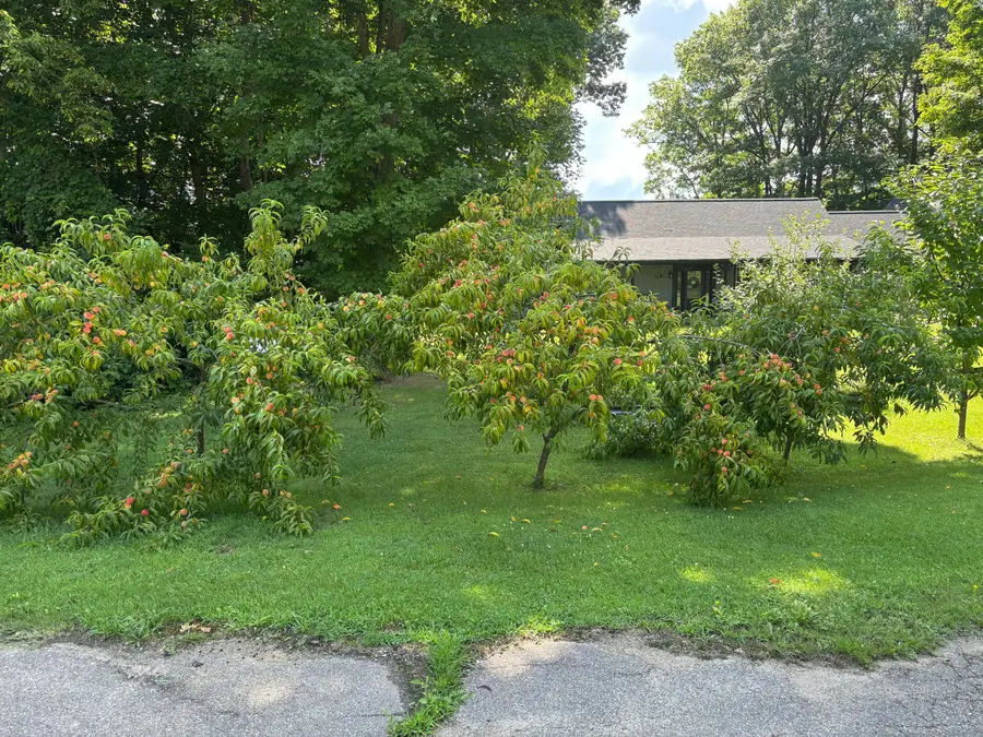 1301 Riverside Road, Niles, MI 49120 - #3