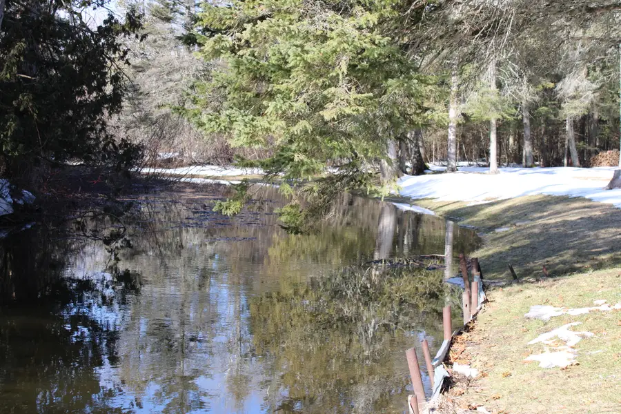 2702 Birch Drive, Mio, MI 48647 - #3