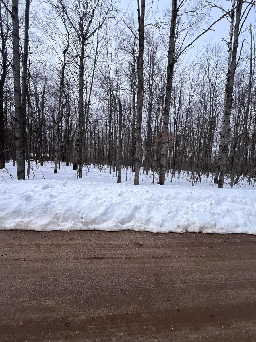 Lot 347 Pine Grove Drive, Elmira, MI 49730 - #3