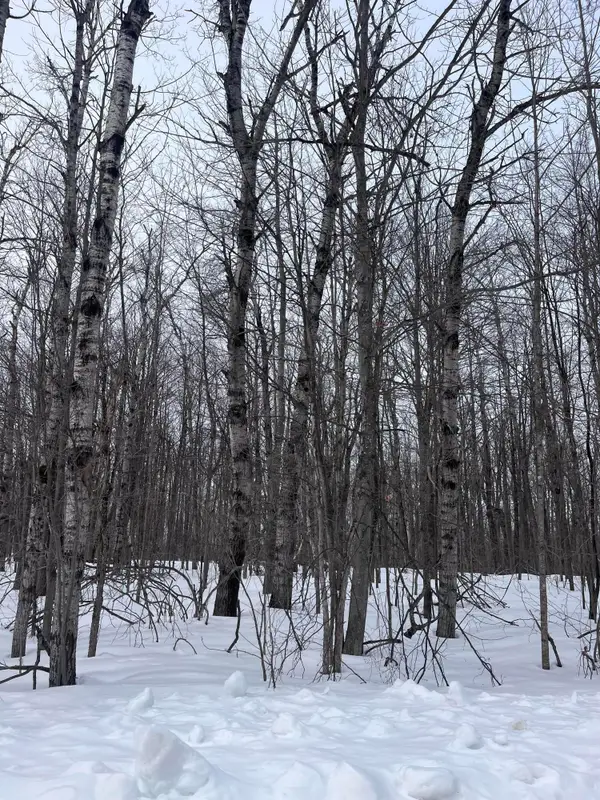 Lot 346 Pine Grove Drive, Elmira, MI 49730