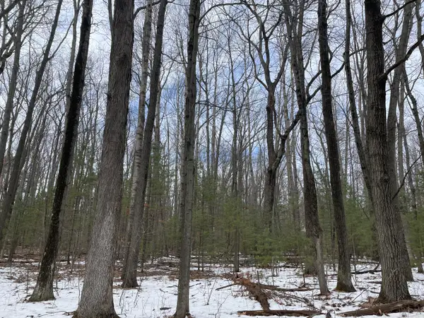 Lot 4 Hillsdale Drive, Roscommon, MI 48653