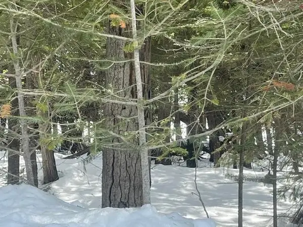 1.24 AC E Huron Drive, Bois Blanc, MI 49775