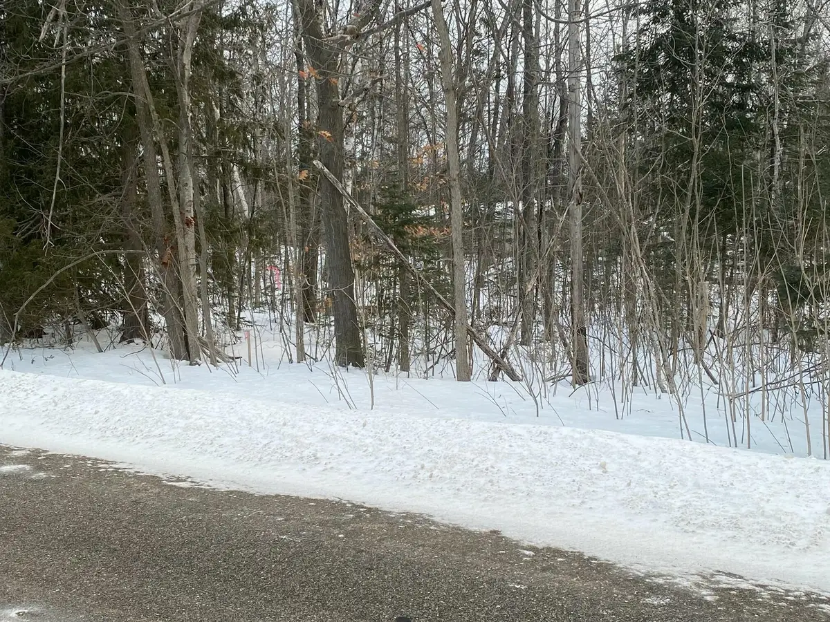 13728 N Mackinaw Highway, Mackinaw City, MI 49701 - #1