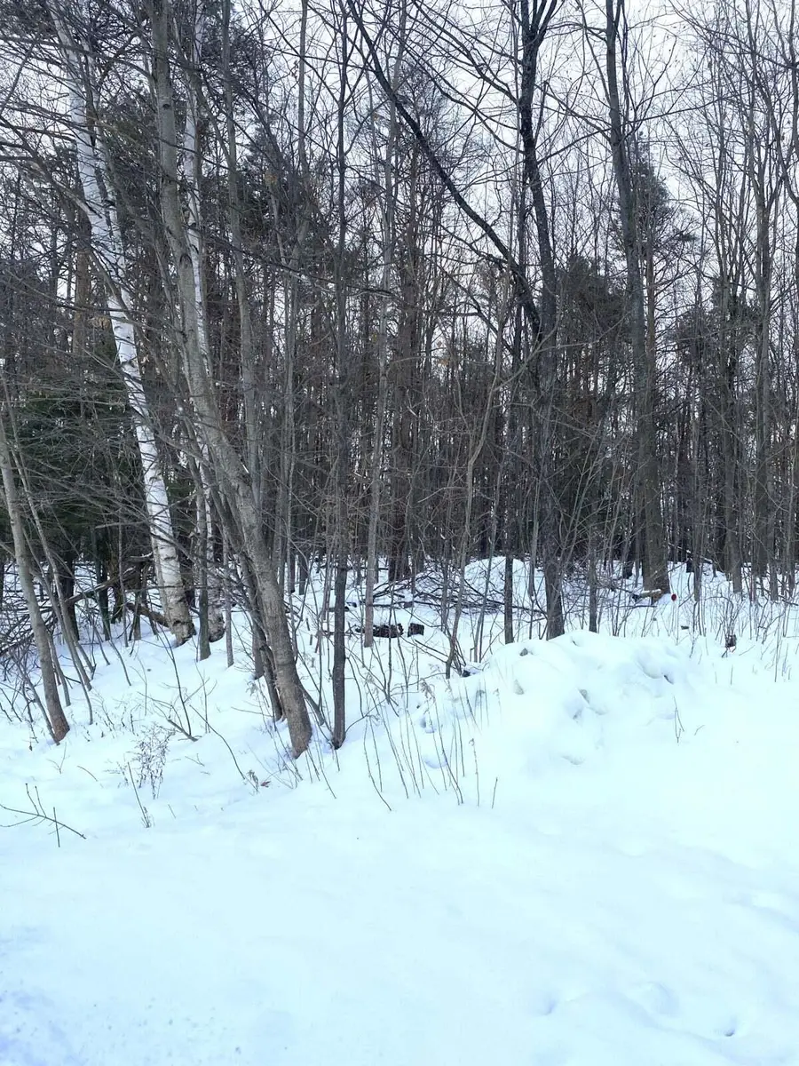 13728 N Mackinaw Highway, Mackinaw City, MI 49701 - #3