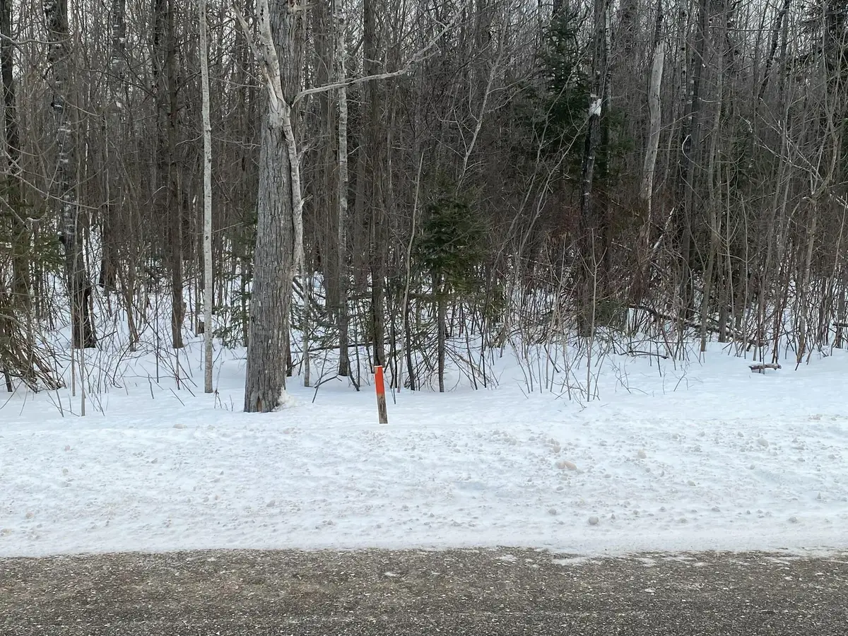 13764 N Mackinaw Highway, Mackinaw City, MI 49701 - #1