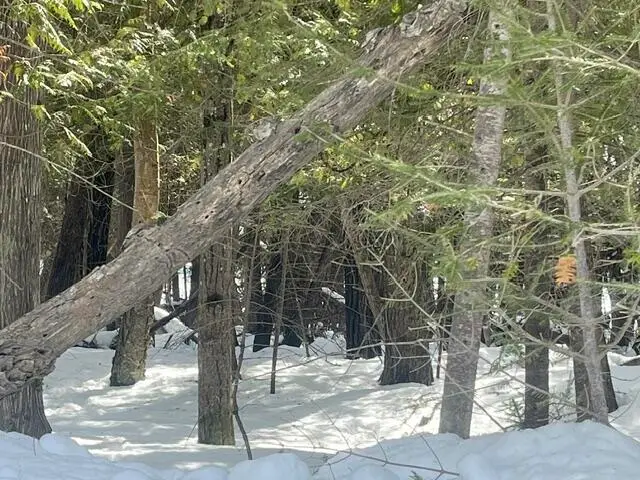 3.08 AC E Huron, Pointe Aux Pins, MI 49775 - #1