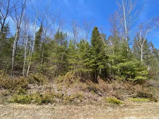 Lot 254 Pineview Drive, Presque Isle, MI 49777 - #1