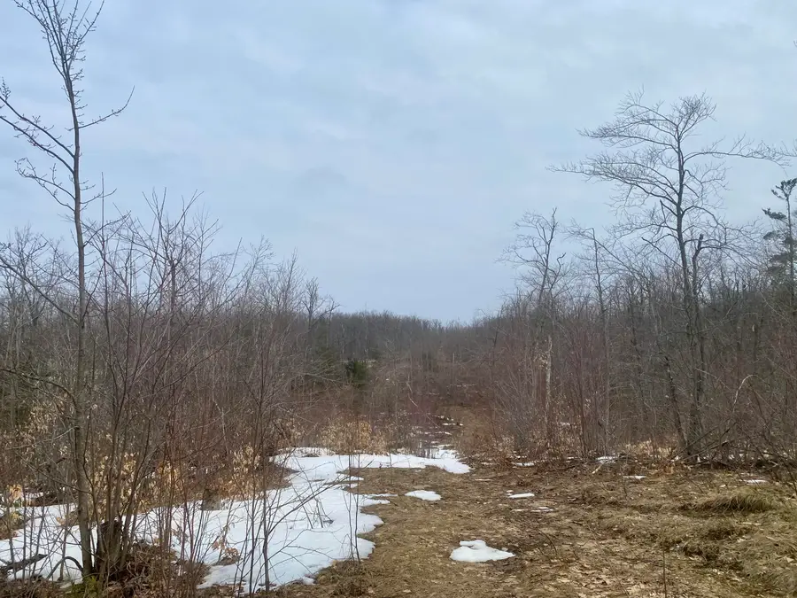 7.6 AC Trails End Street, Gaylord, MI 49735 - #3