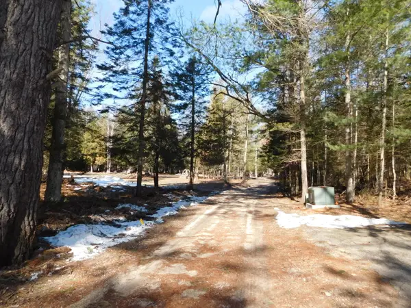 Par 7 Wildwood Lane, Grayling, MI 49738