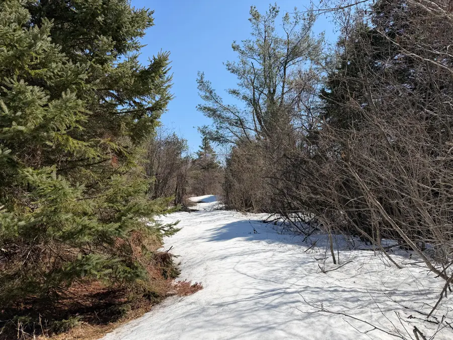 160 AC M32 W, Alpena, MI 49707 - #3