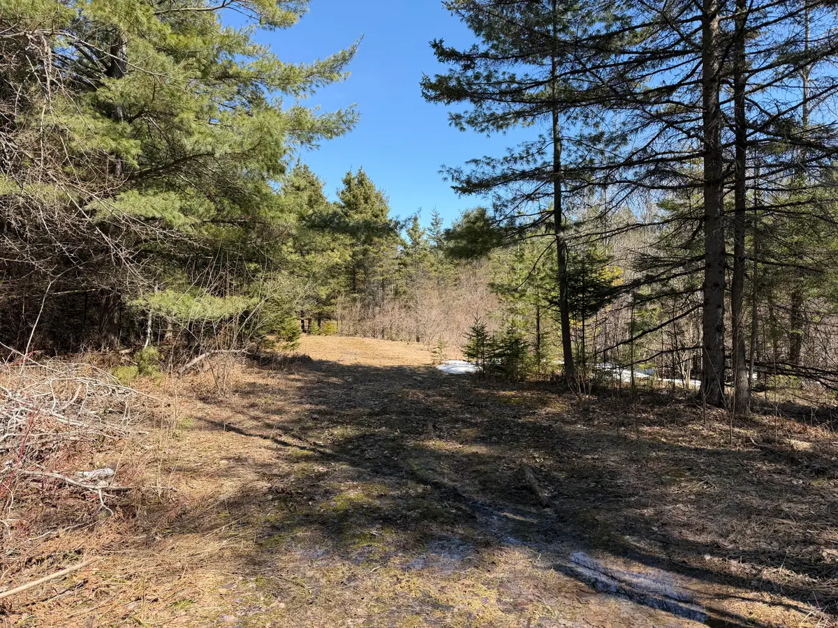 18.83 AC M32 W, Alpena, MI 49707 - #1