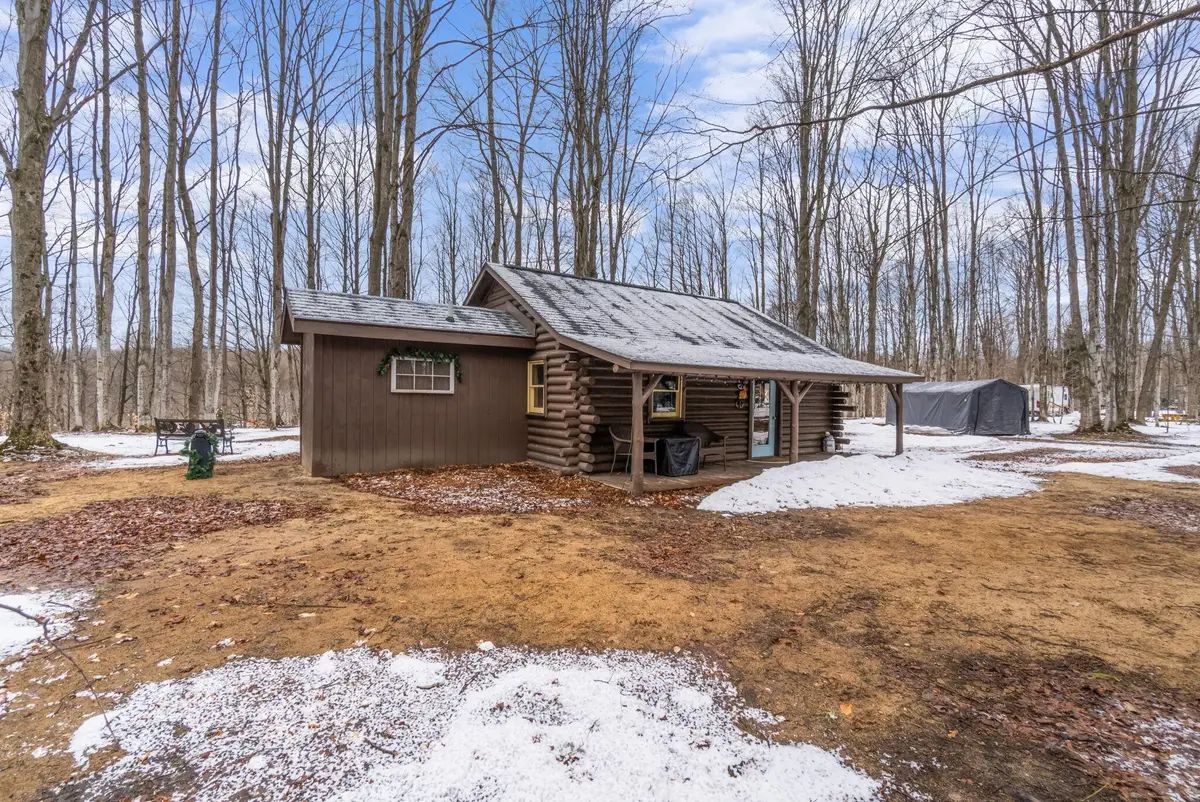 11968 N Partridge Lane, Mancelona, MI 49659 - #1
