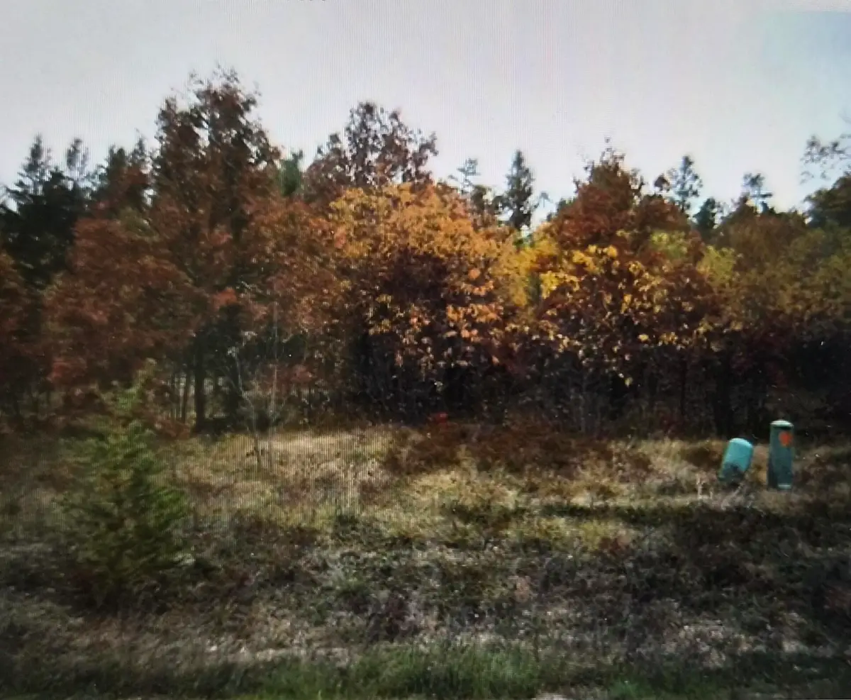 Lot 6 Northwood Drive, Grayling, MI 49738 - #1