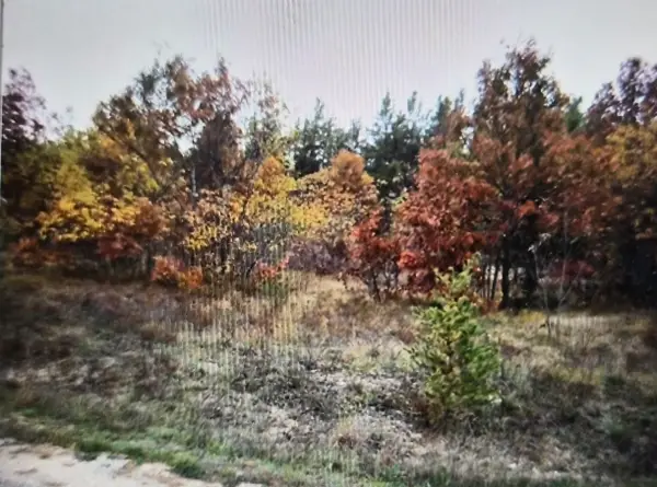 Lot 8 Northwood Drive, Grayling, MI 49738