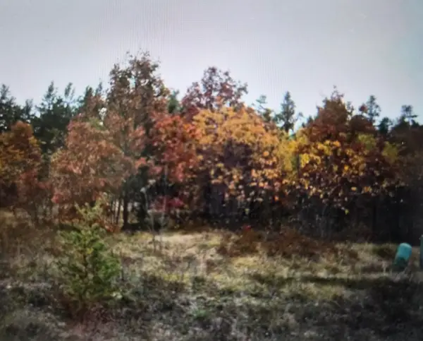 Lot 9 Northwood Drive, Grayling, MI 49738