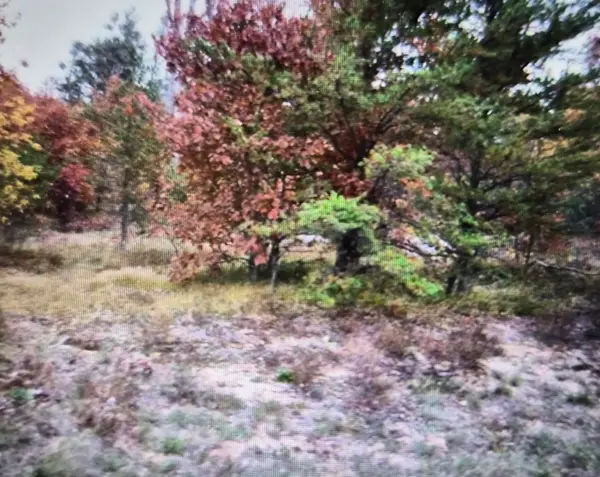 Lot 10 Northwood Drive, Grayling, MI 49738