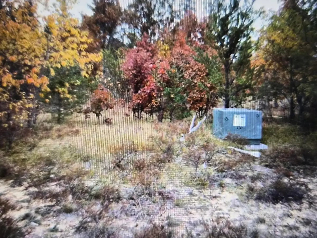 Lot 11 Northwood Drive, Grayling, MI 49738 - #1