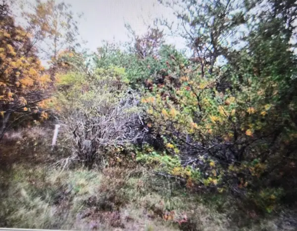 Lot 13 Northwood Drive, Grayling, MI 49738