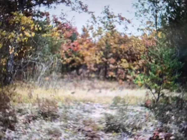 Lot 14 Northwood Drive, Grayling, MI 49738