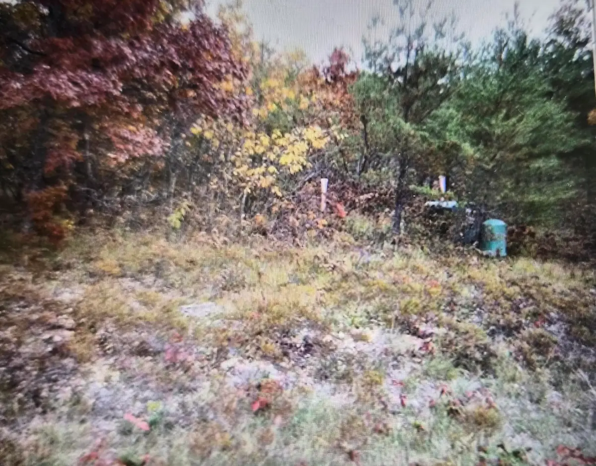Lot 15 Northwood Drive, Grayling, MI 49738 - #1