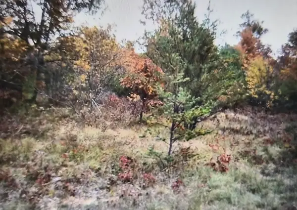 Lot 16 Northwood Drive, Grayling, MI 49738