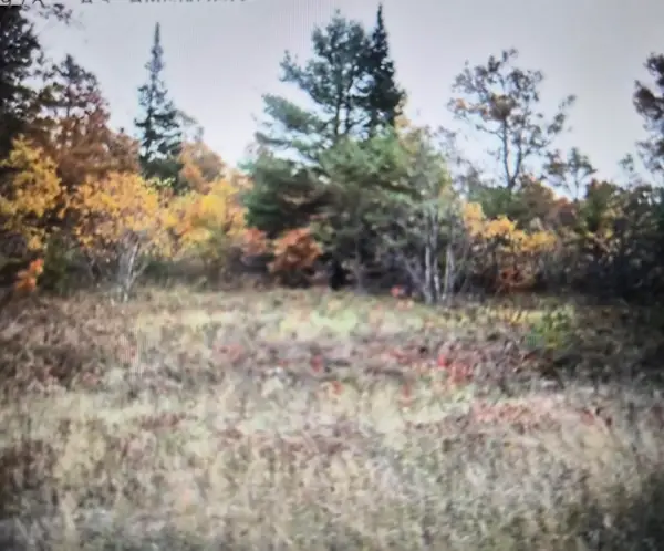 Lot 19 Northwood Drive, Grayling, MI 49738