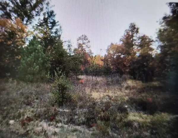 Lot 21 Northwood Drive, Grayling, MI 49738