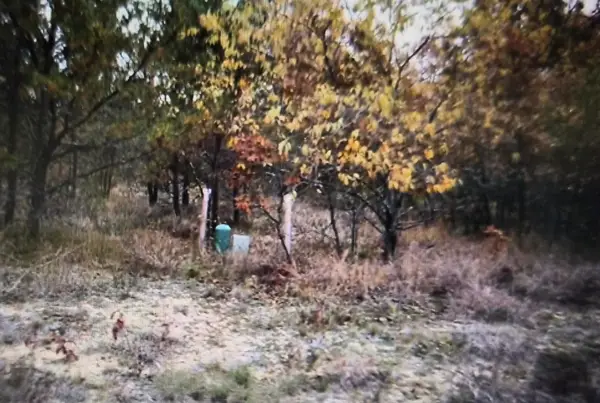 Lot 23 Northwood Drive, Grayling, MI 49738