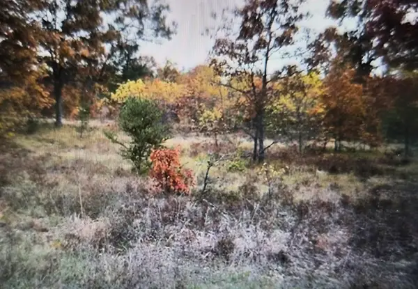 Lot 24 Northwood Drive, Grayling, MI 49738
