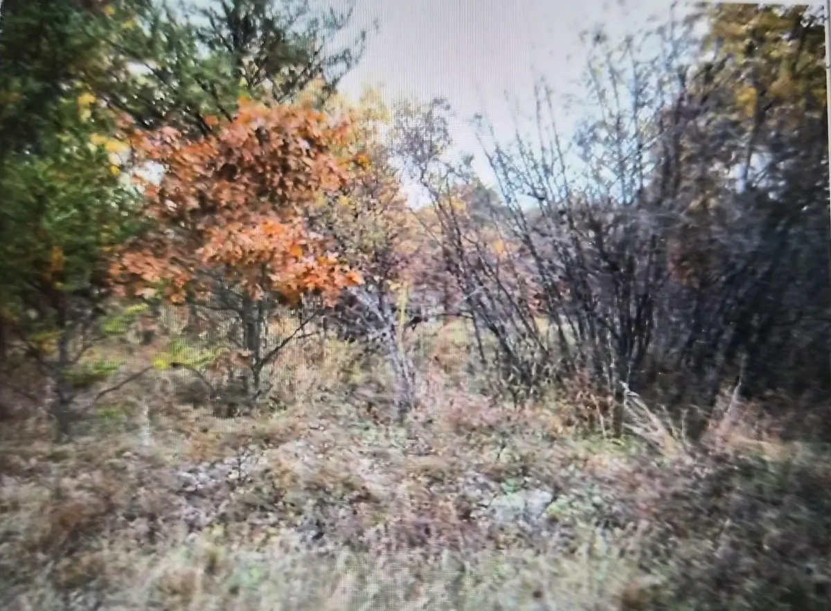 Lot 26 Northwood Drive, Grayling, MI 49738 - #1