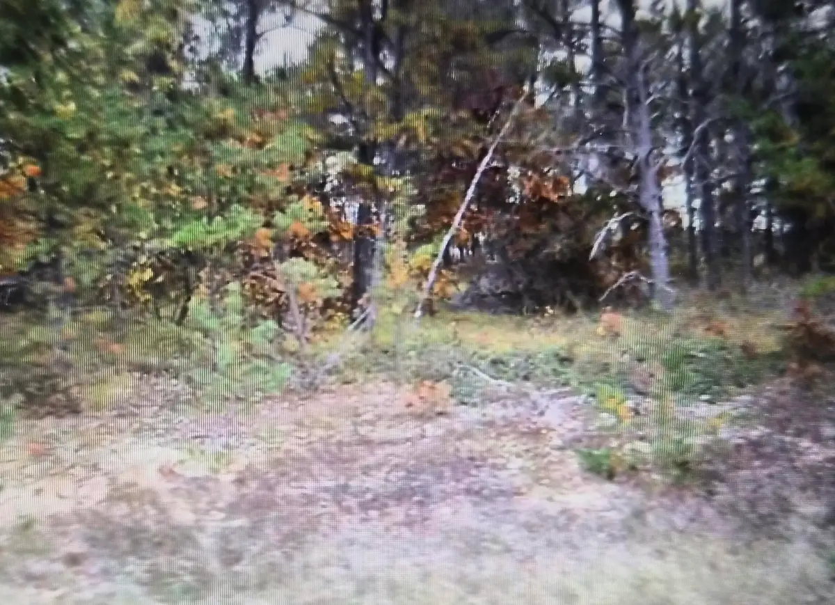 Lot 28 Northwood Drive, Grayling, MI 49738 - #1