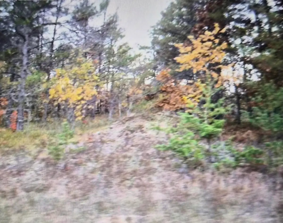 Lot 29 Northwood Drive, Grayling, MI 49738 - #1
