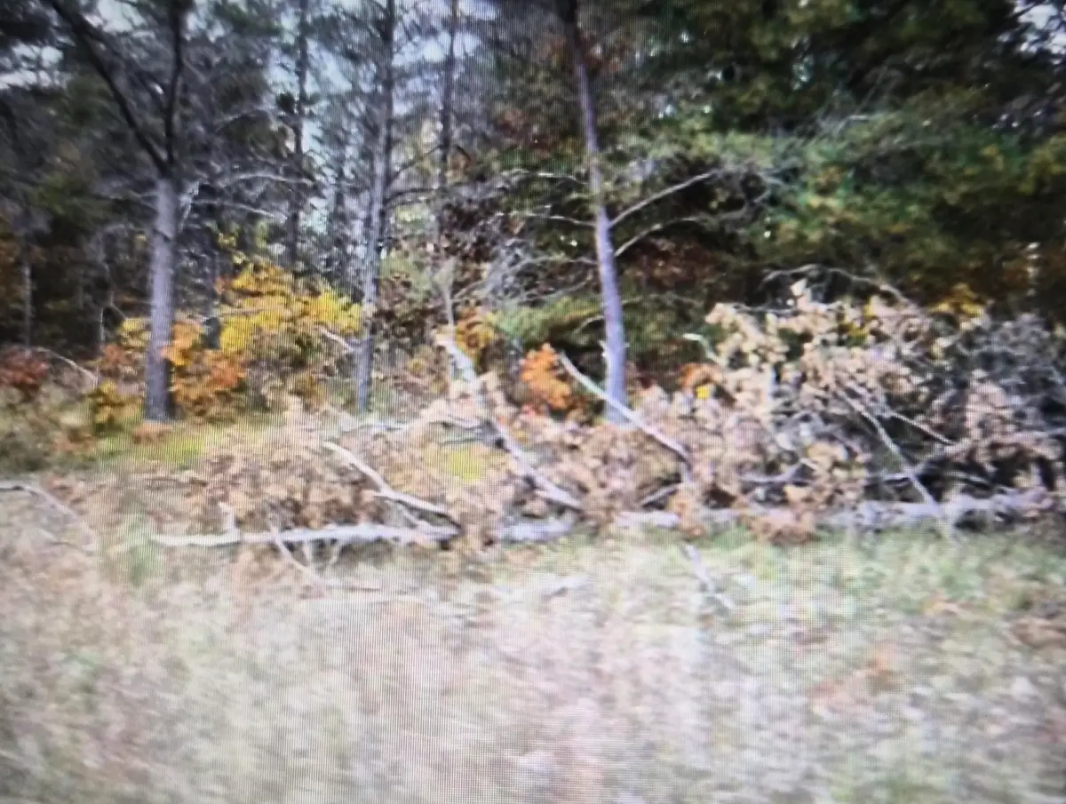 Lot 31 Northwood Drive, Grayling, MI 49738 - #1
