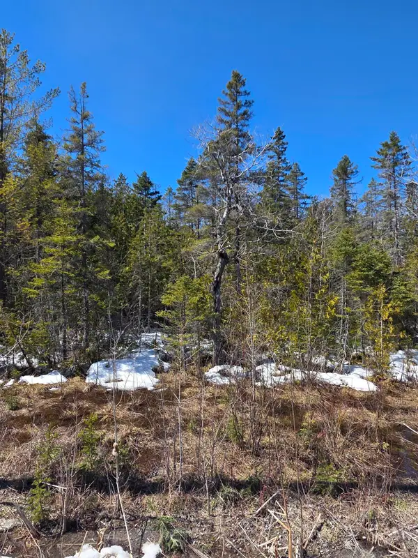 245 Winyah Drive, Alpena, MI 49707