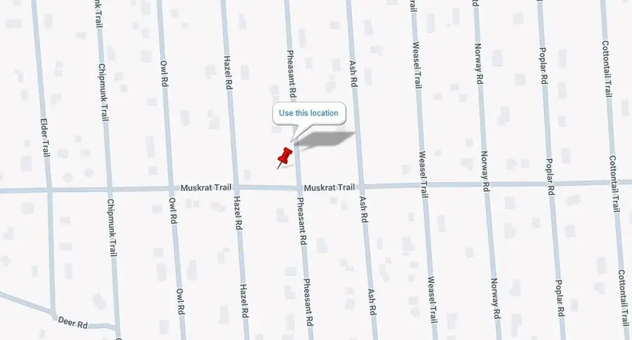 Lots 2-3 Pheasant Road, Lincoln, MI 48742 - #2