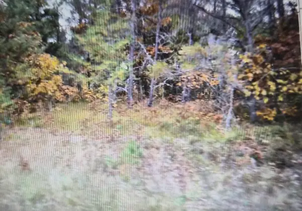 Lot 32 Northwood Drive, Grayling, MI 49738
