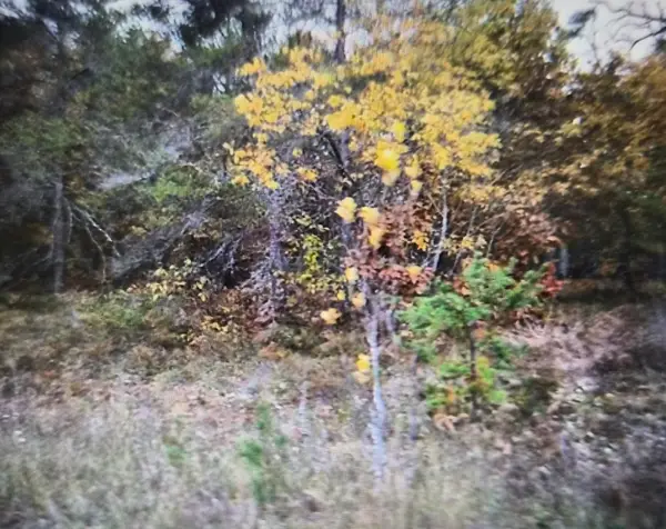 Lot 33 Northwood Drive, Grayling, MI 49738