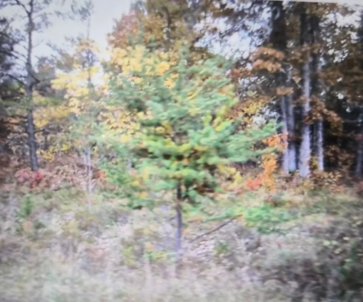 Lot 36 Northwood Drive, Grayling, MI 49738 - #1