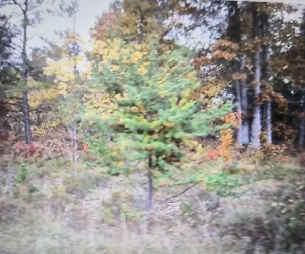 Lot 36 Northwood Drive, Grayling, MI 49738