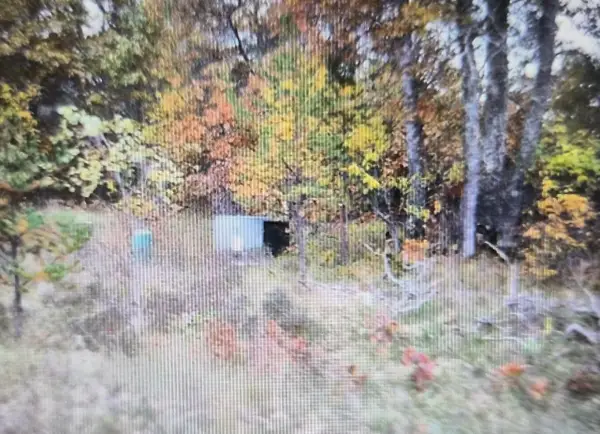 Lot 37 Northwood Drive, Grayling, MI 49738