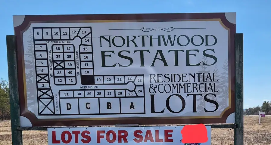 Lot 38 Northwood Drive, Grayling, MI 49738 - #3