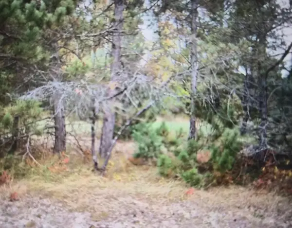 Lot 39 Northwood Drive, Grayling, MI 49738