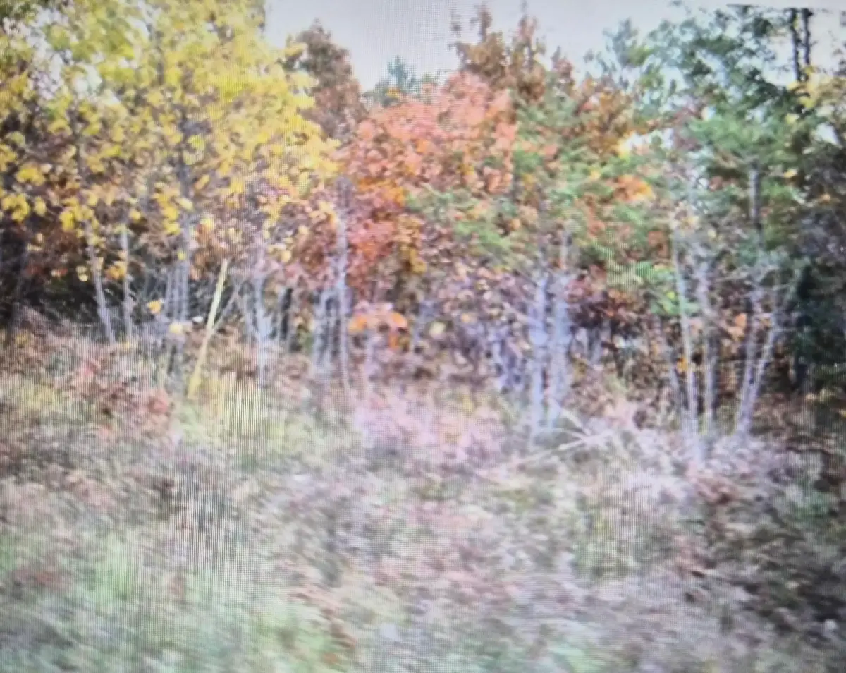 Lot 40 Northwood Drive, Grayling, MI 49738 - #1