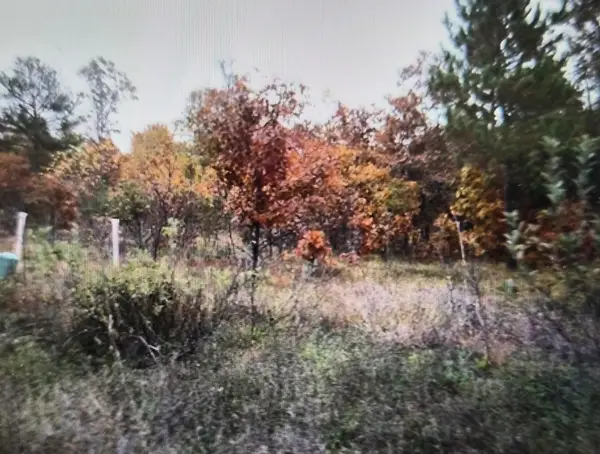 Lot 41 Northwood Drive, Grayling, MI 49738