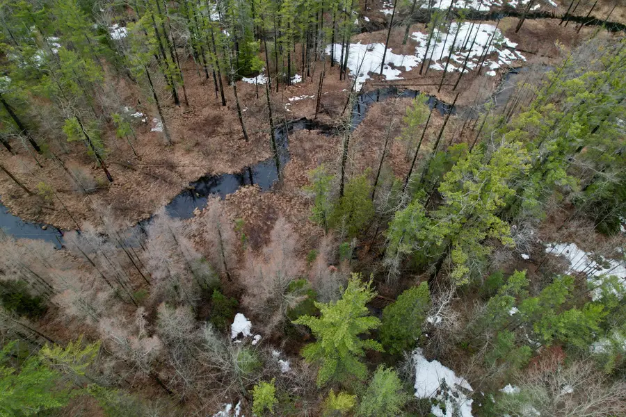 Lot 664 Fantasy Drive, Frederic, MI 49733 - #3