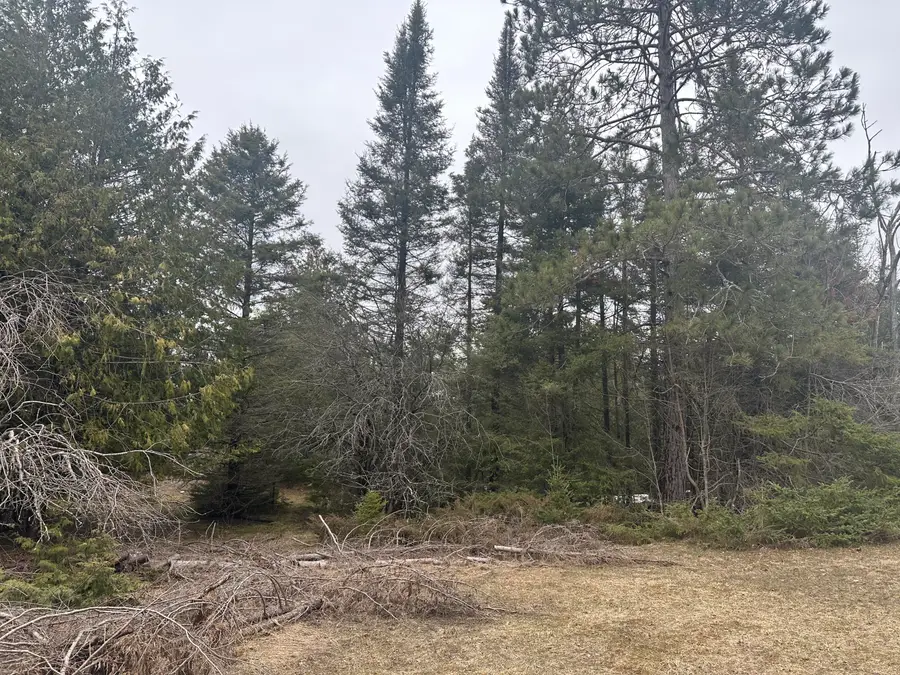 4200 Bloom Road, Alpena, MI 49707 - #3